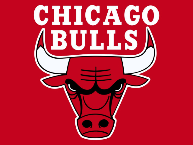 Vtg champion Chicago bulls B.J Armstrong jersey. - Depop