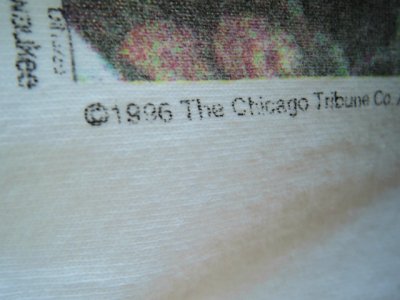 画像1: [USED-90's【Fruit Of The Room】“CHICAGO BULLS 1996 Win70 ”  PHOTO PRINT T-Shirts