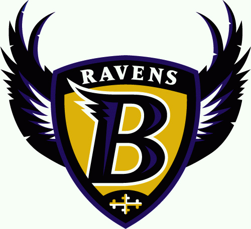 USED]-90s【TEAM NFL】“Baltimore RAVENS” SNAPBACK